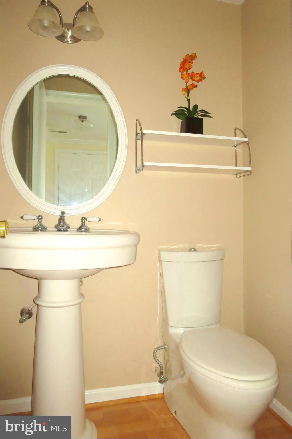 2012 Flowering Tree Terrace Silver Spring, MD 20902 - Photo 6 of 30 Powder room