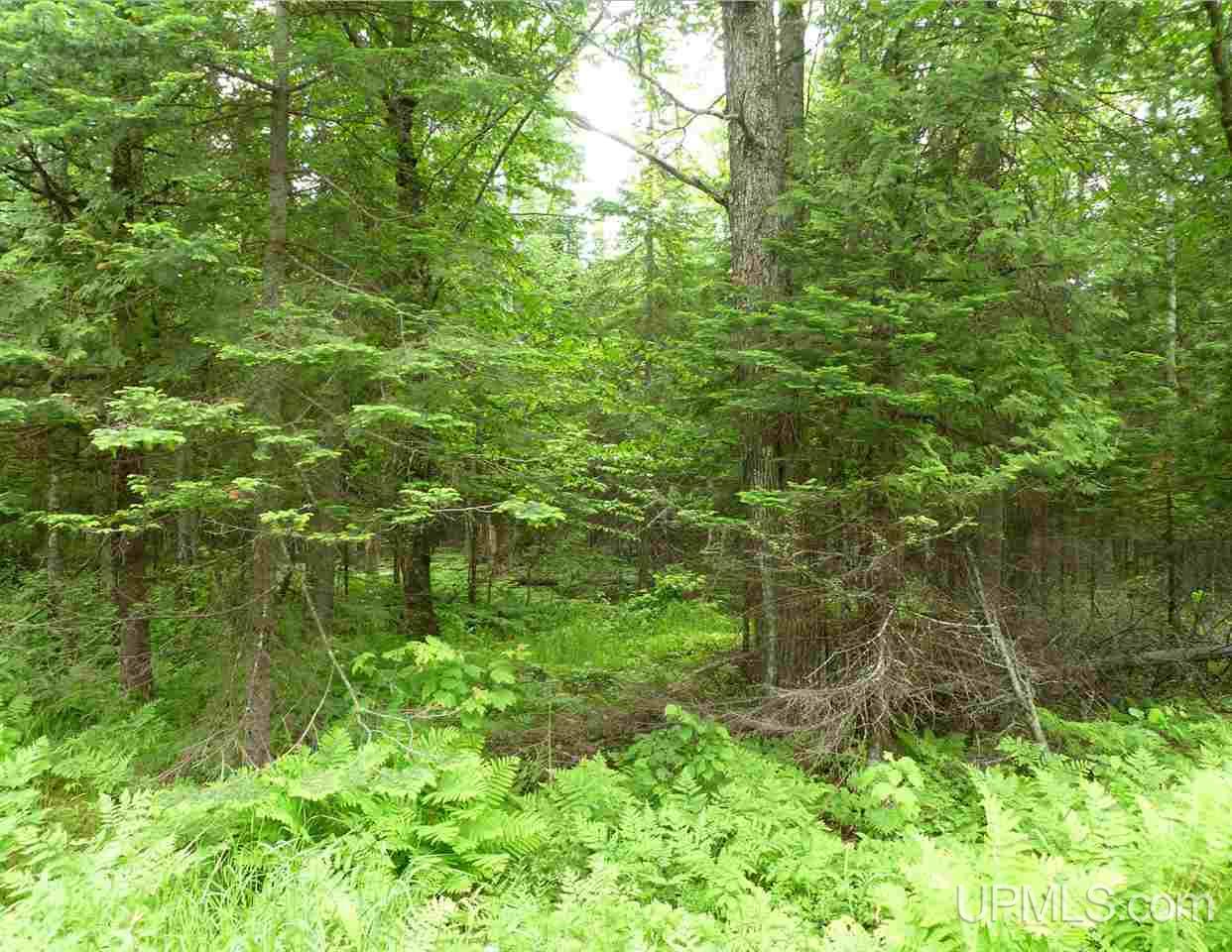 Sandstone Rd Jacobsville Road Lake Linden, MI 49945 - Photo 11 of 11