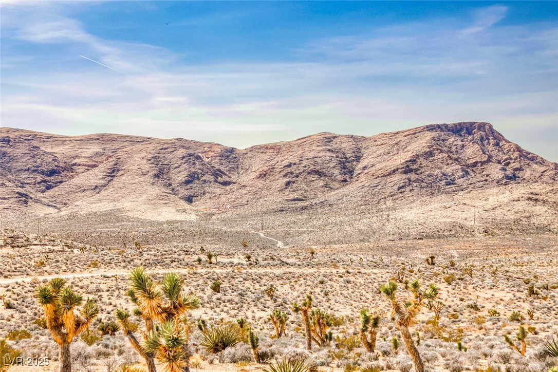 Beacon Street Jean, NV 89019 - Photo 17 of 25 View of mountain feature featuring view of desert