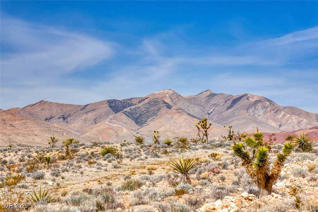 Beacon Street Jean, NV 89019 - Photo 18 of 25 Property view of mountains