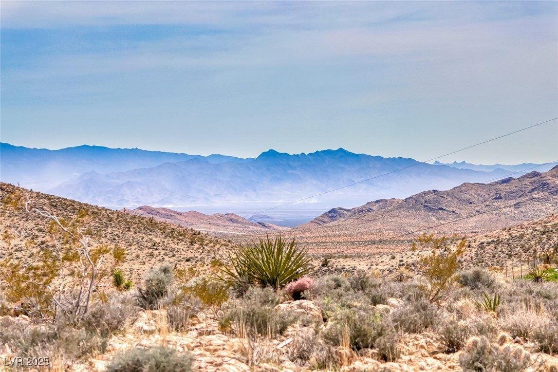Beacon Street Jean, NV 89019 - Photo 23 of 25 Mountain view