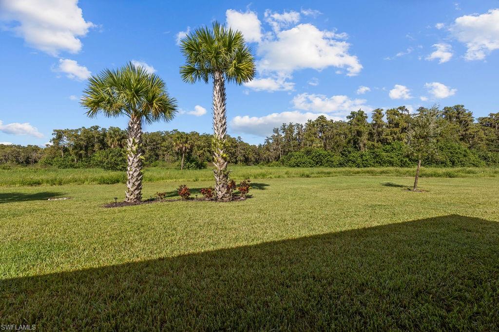 5931 Mayflower Way Ave Maria, FL 34142 - Photo 9 of 34 a view of a big yard with a large trees