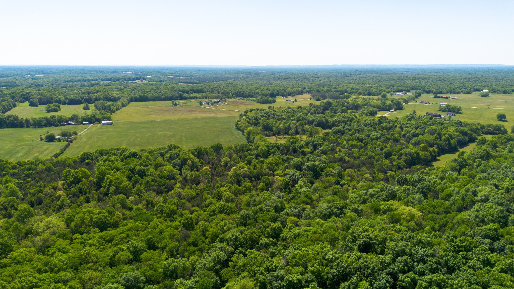 3680 Clark Road Lewisburg, TN 37091 - Photo 21 of 97 a view of a green field with an ocean view