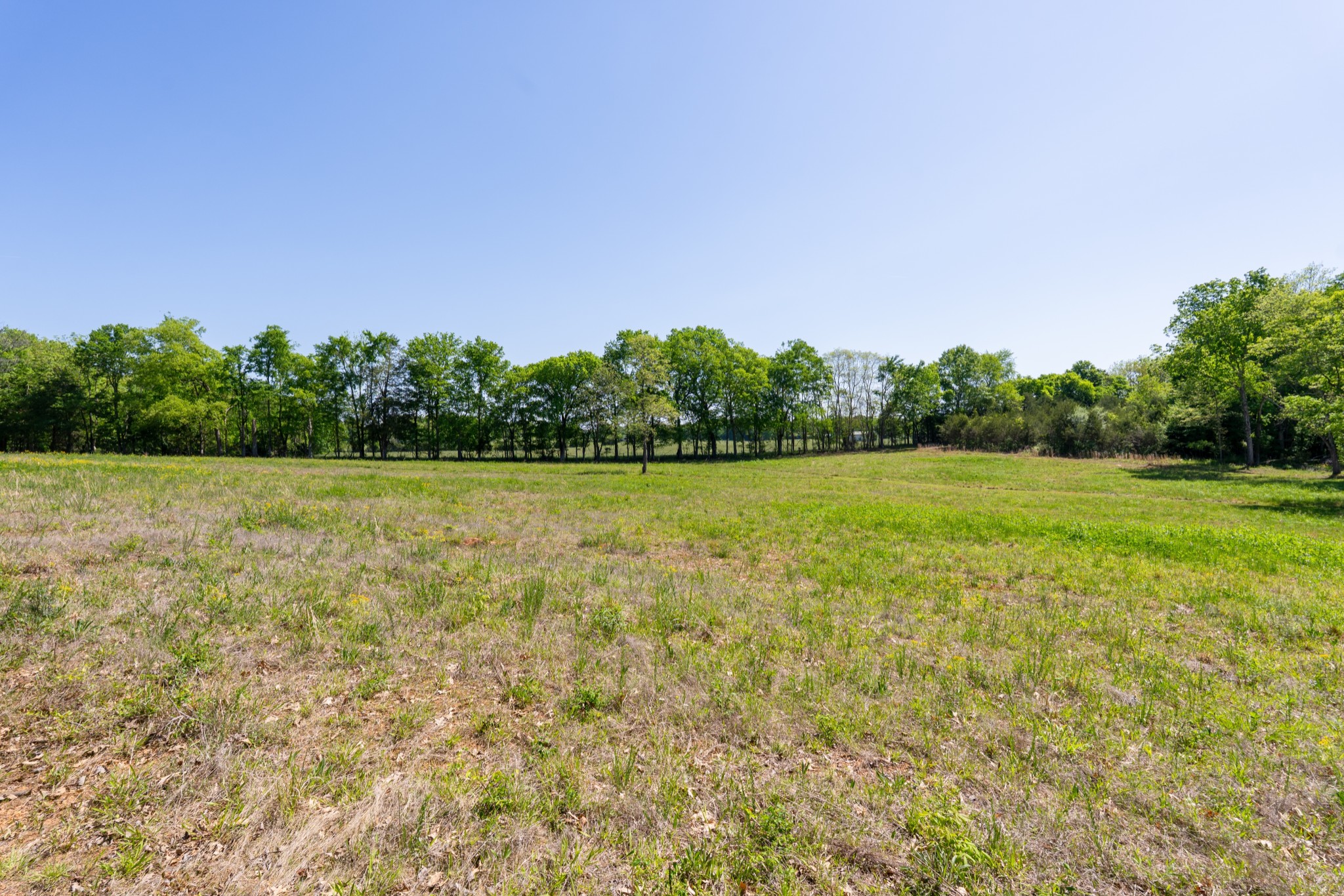3680 Clark Road Lewisburg, TN 37091 - Photo 36 of 97 a view of a green field with plants in front of it