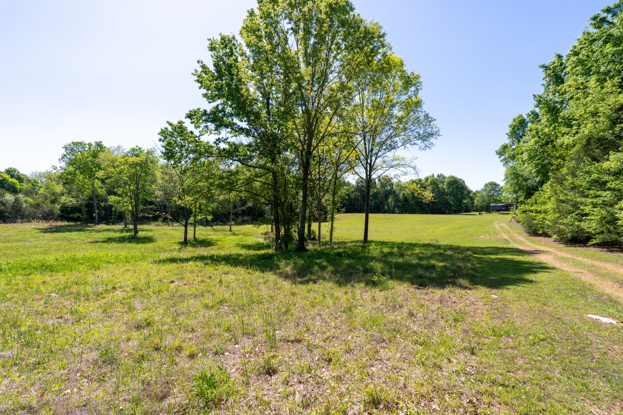 3680 Clark Road Lewisburg, TN 37091 - Photo 38 of 97 a view of a backyard with trees