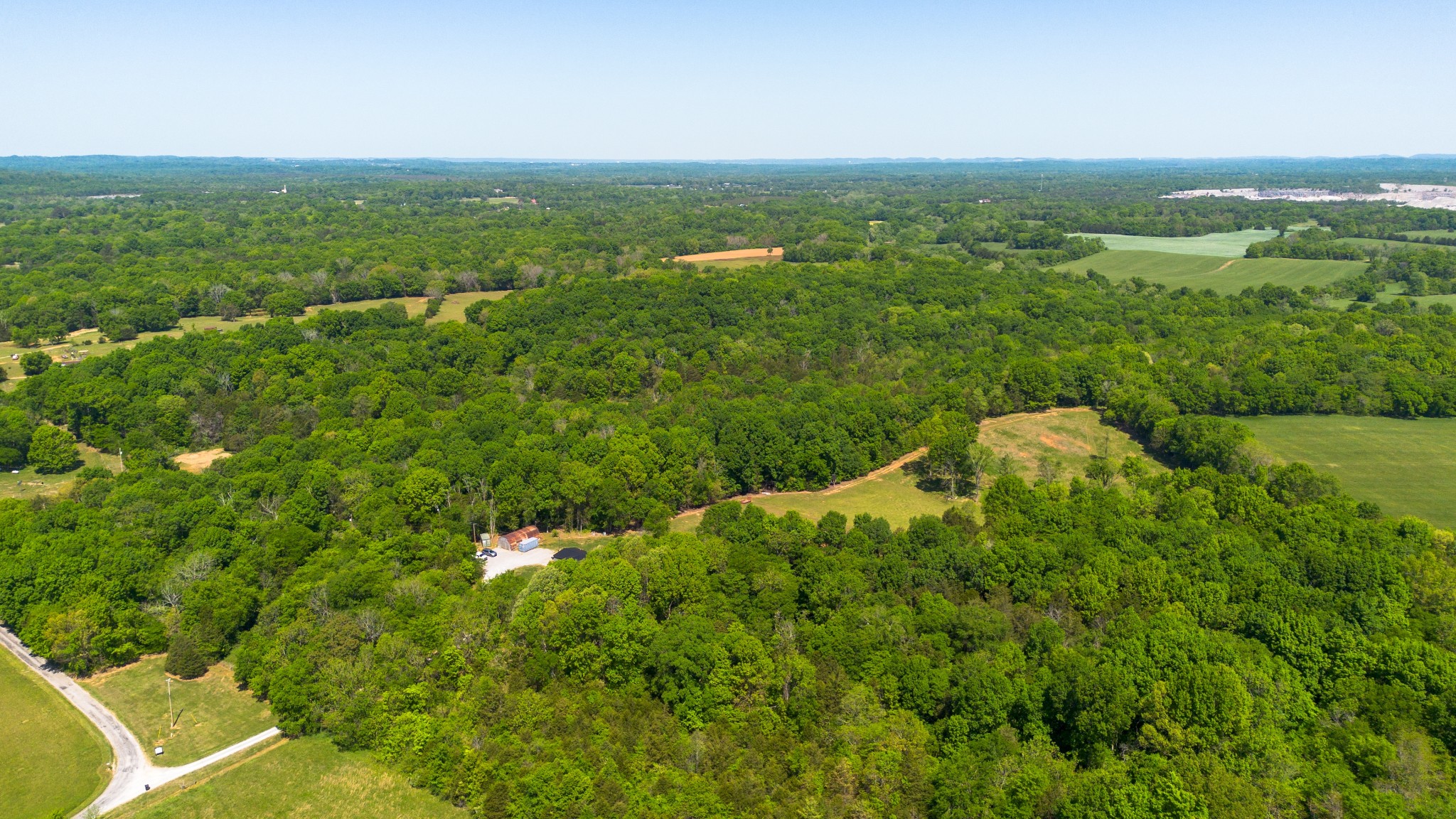 3680 Clark Road Lewisburg, TN 37091 - Photo 4 of 97 a view of a green field with lots of bushes