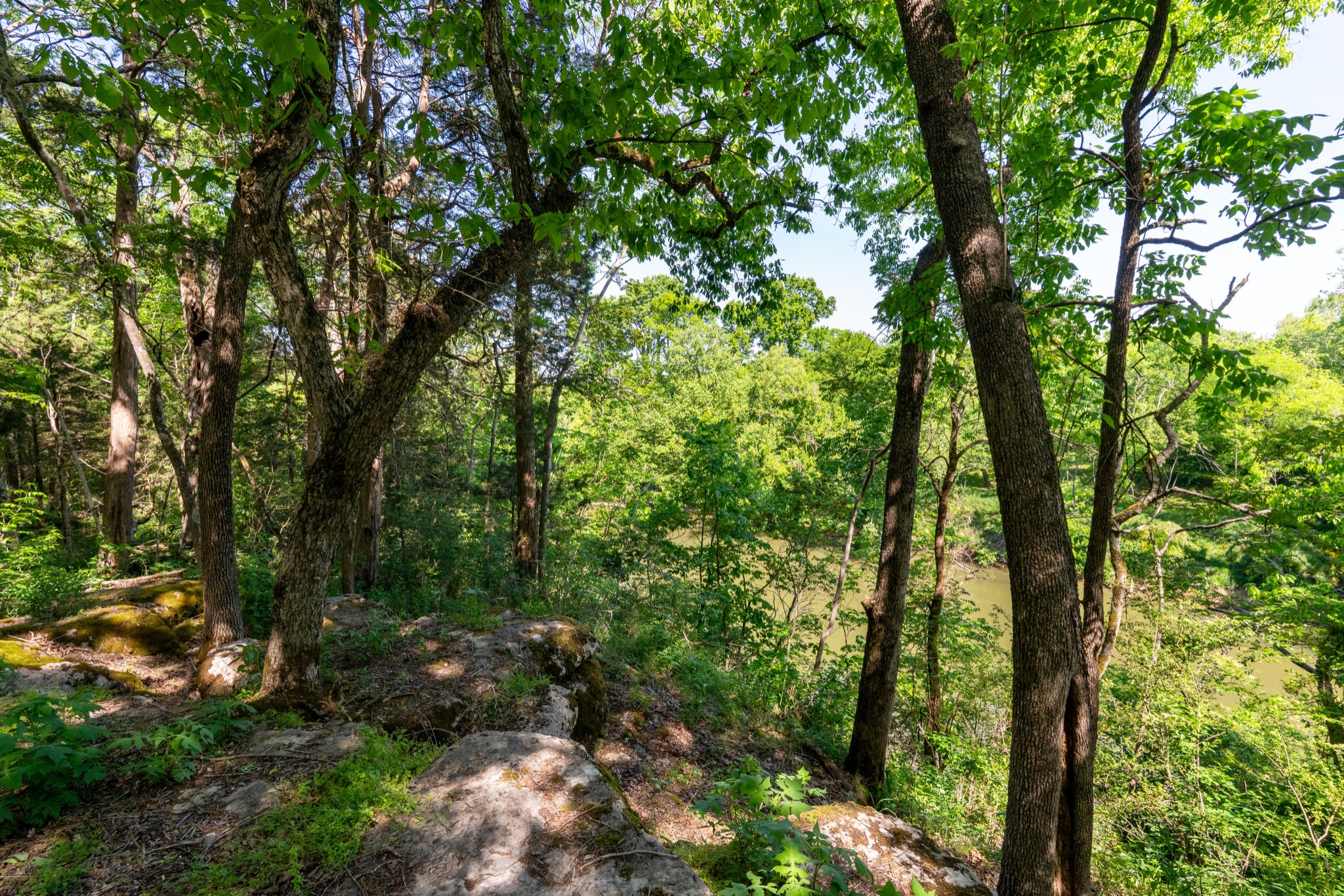 3680 Clark Road Lewisburg, TN 37091 - Photo 46 of 97