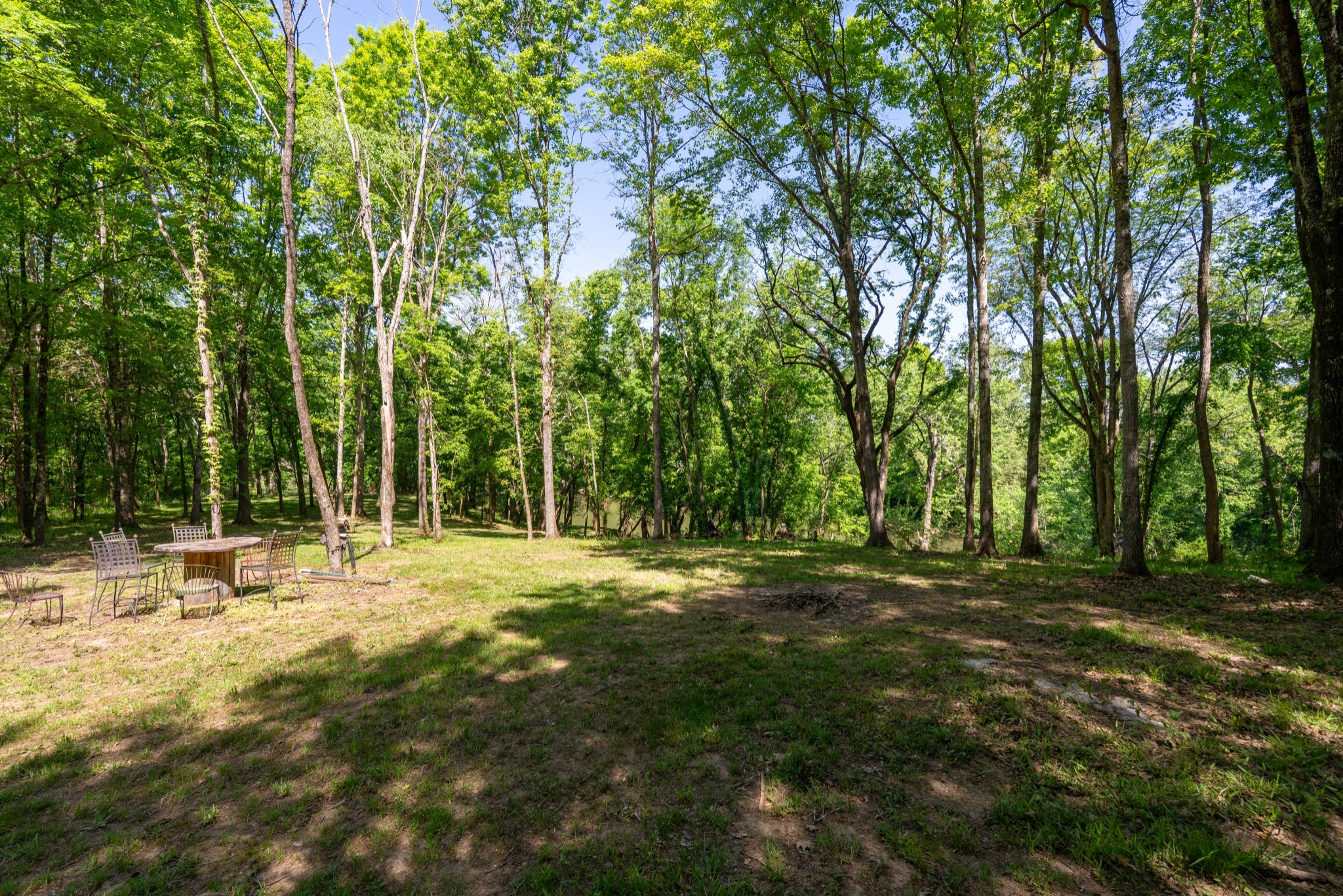3680 Clark Road Lewisburg, TN 37091 - Photo 49 of 97 a view of outdoor space with trees all around