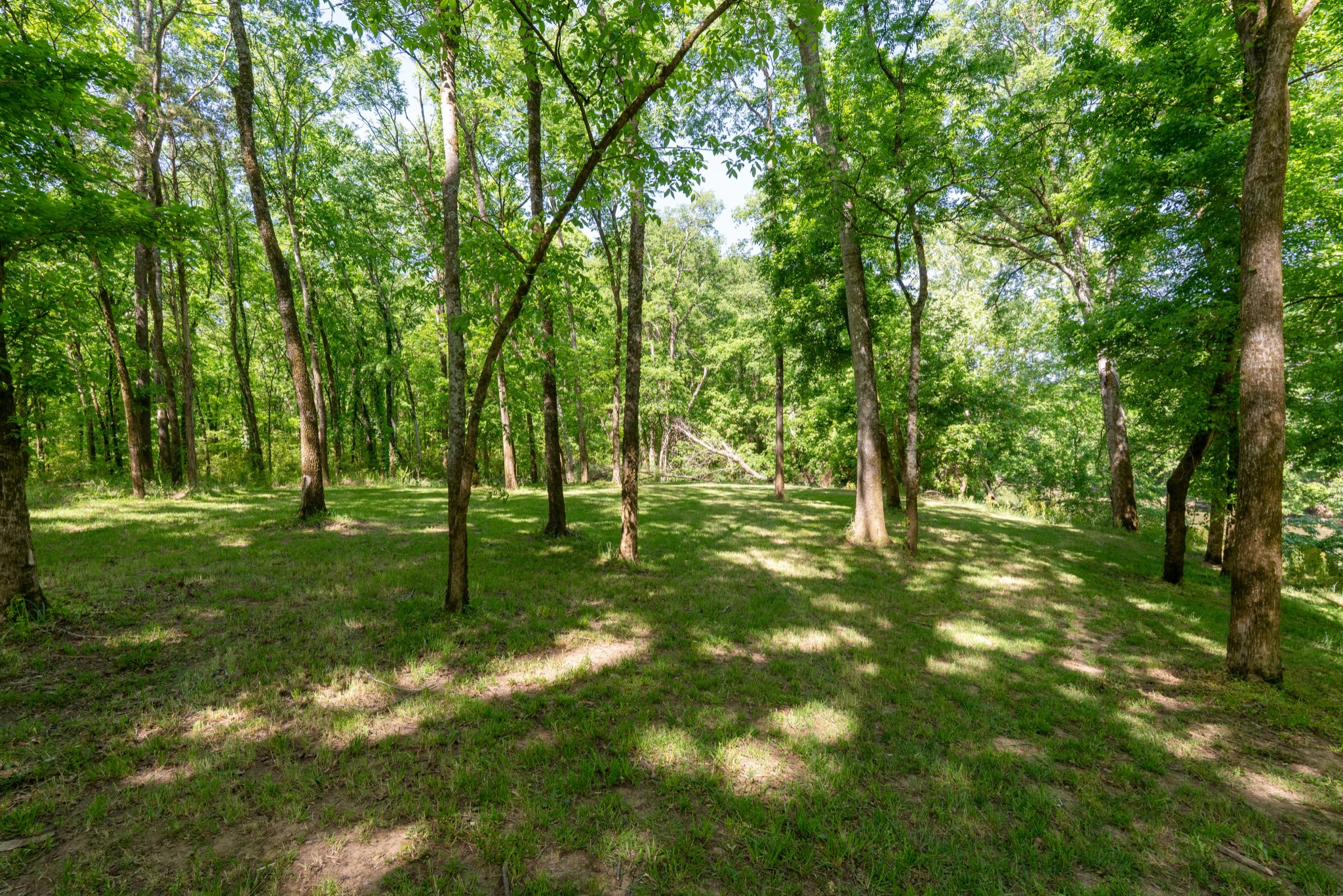 3680 Clark Road Lewisburg, TN 37091 - Photo 51 of 97 a view of yard with green space