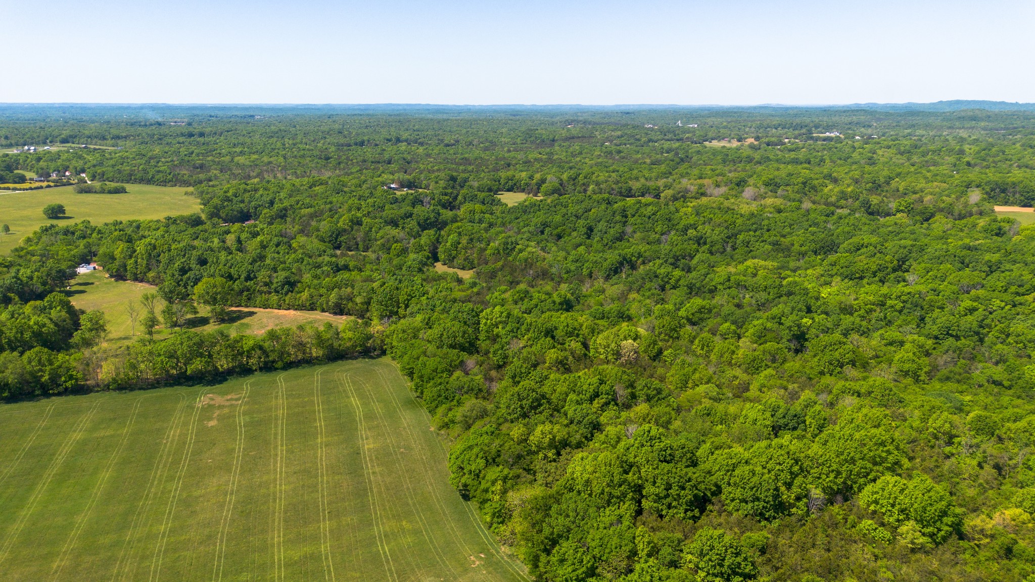 3680 Clark Road Lewisburg, TN 37091 - Photo 10 of 97