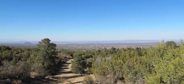 Sunnyslope Road Pinon Hills, CA 92372 - Photo 1 of 5 a view of a city with lush green forest