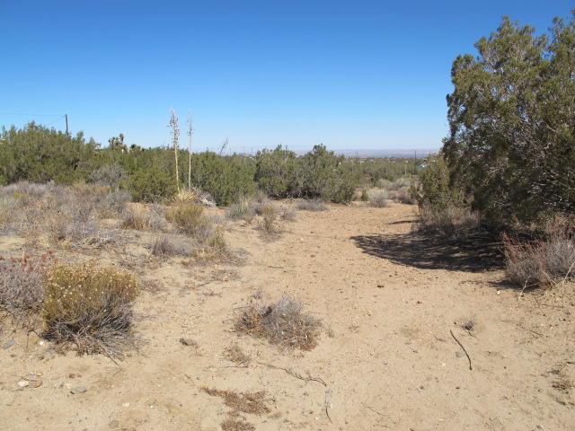 Sunnyslope Road Pinon Hills, CA 92372 - Photo 3 of 5 a view of dirt road with a building in the background