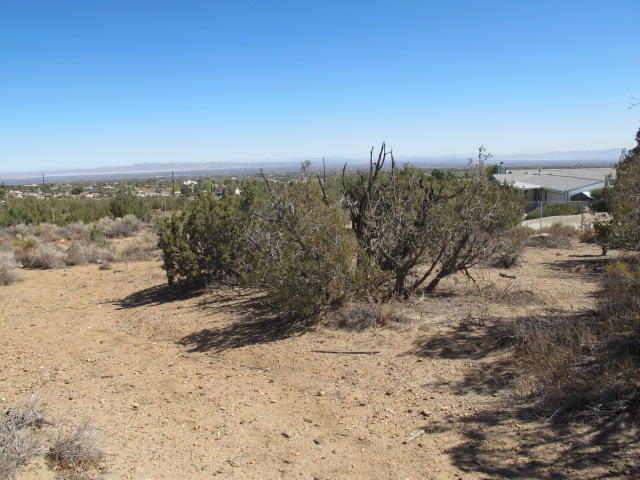 Sunnyslope Road Pinon Hills, CA 92372 - Photo 5 of 5 a view of a dirt road with a building in the background
