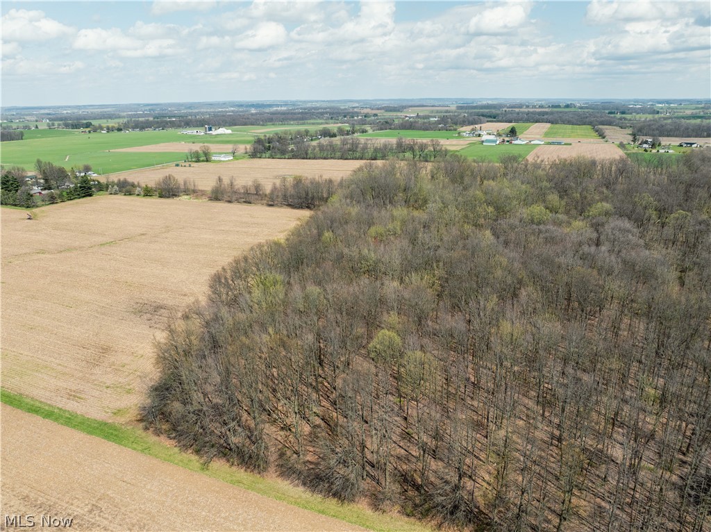 Steiner Road Creston, OH 44217 - Photo 5 of 5