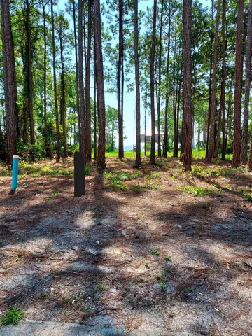 $58,000 | 164 Royal Tern Way, Carrabelle, FL 32322