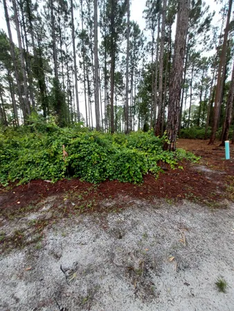 $58,000 | 164 Royal Tern Way, Carrabelle, FL 32322