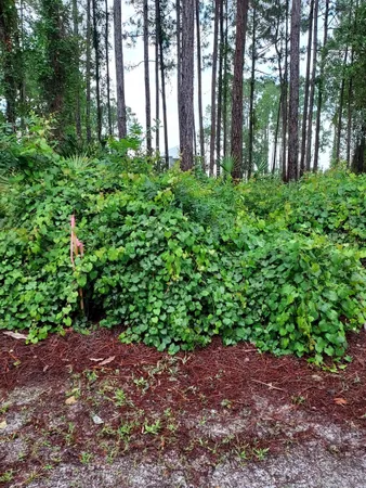 $58,000 | 164 Royal Tern Way, Carrabelle, FL 32322