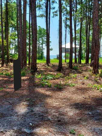 $58,000 | 164 Royal Tern Way, Carrabelle, FL 32322