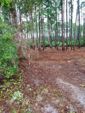 $58,000 | 164 Royal Tern Way, Carrabelle, FL 32322