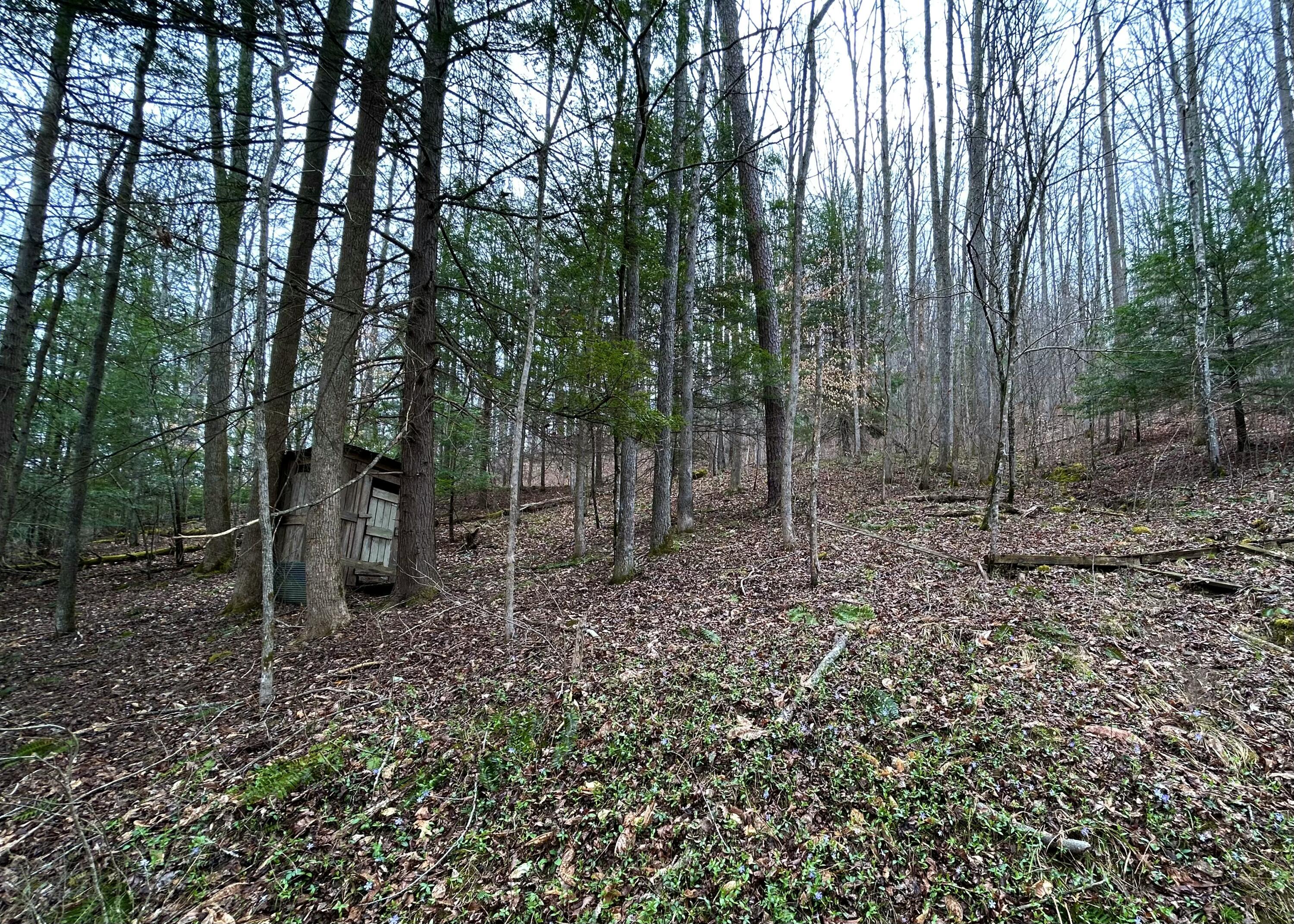 9999 Raccoon Creek Road McKee, KY 40447 - Photo 4 of 19 IMG_0994