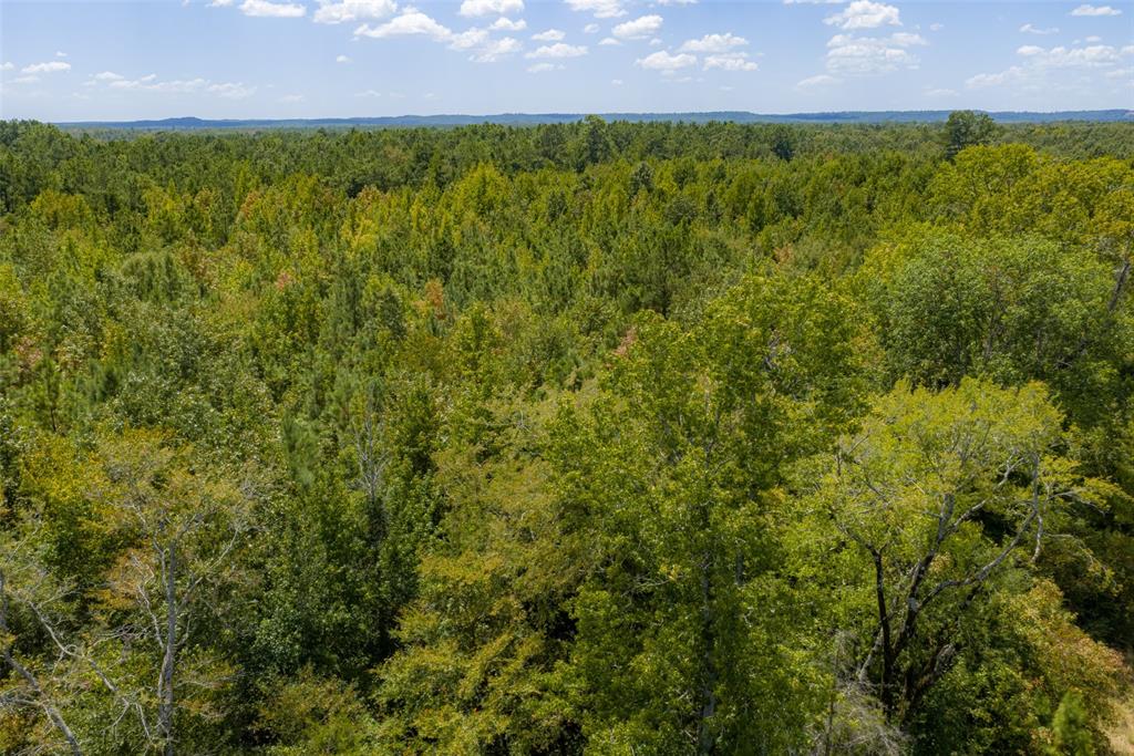 1207 County Road 1207 Rusk, TX 75785 - Photo 16 of 40 Gallery Image 16