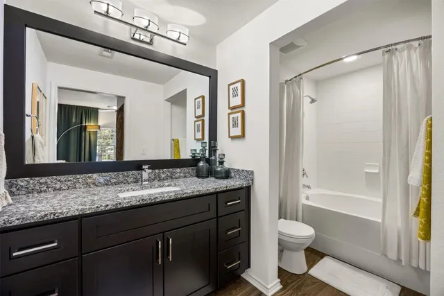 a bathroom with a granite countertop sink toilet mirror and a bathtub