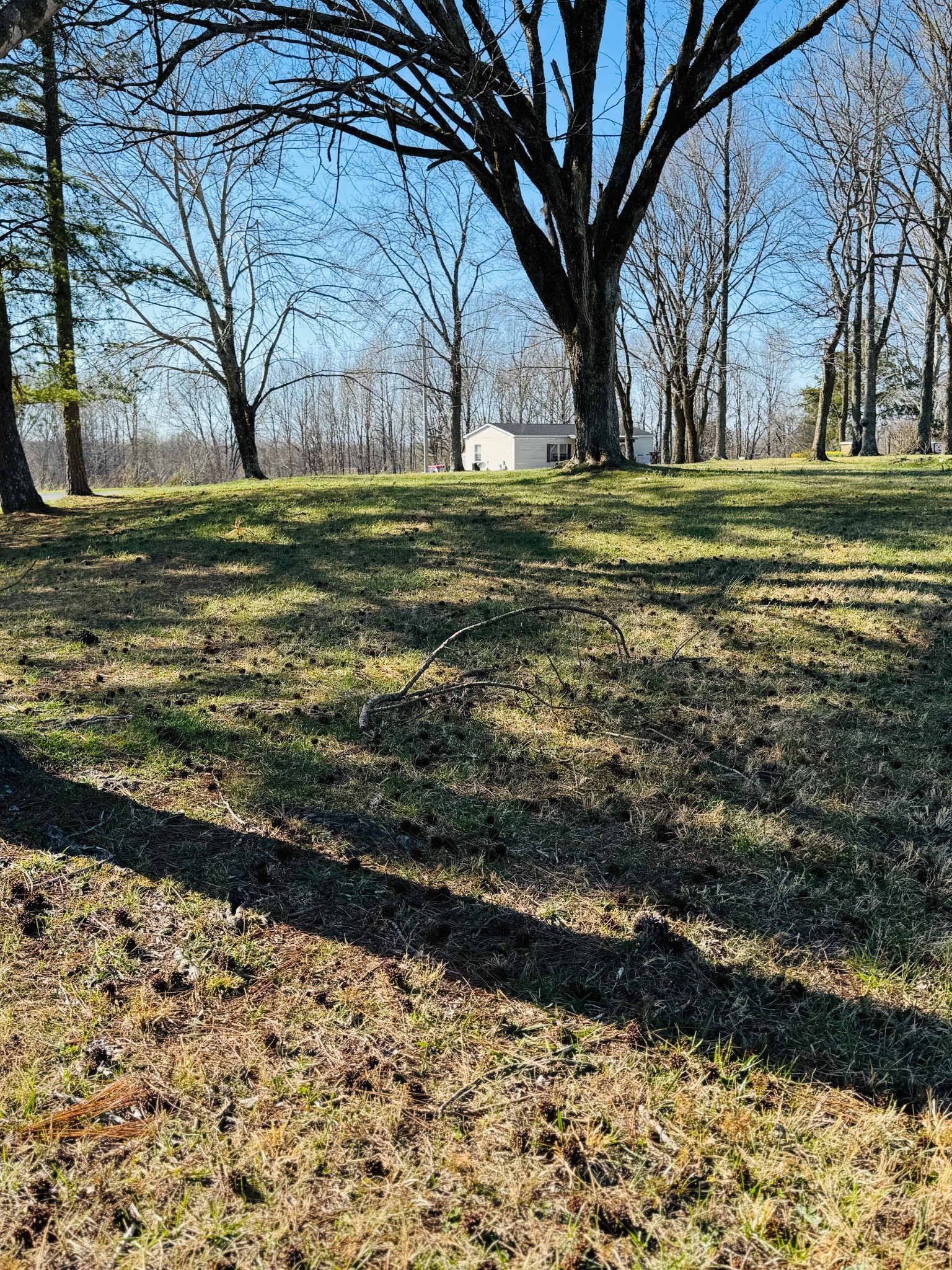 3231 East Stinson Road Lafayette, TN 37083 - Photo 5 of 23 Gallery Image 5