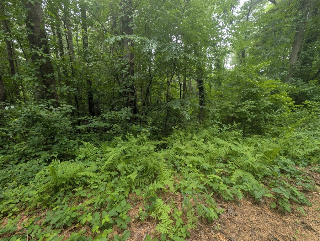 Lot C Baker Pond Road Charlton, MA 01507 - Photo 5 of 5