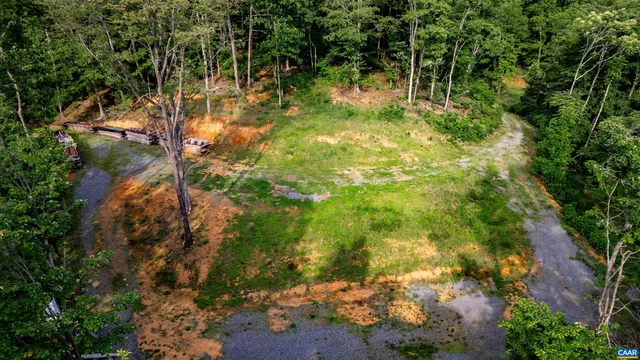 a view of a yard with plants and a bench