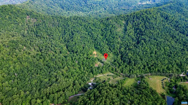 a view of flowers in bunch
