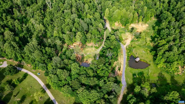 a view of a lush green forest