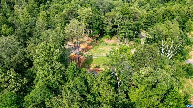 a view of a lush green forest with houses in the back