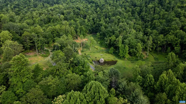 a view of a garden with plants and flowers