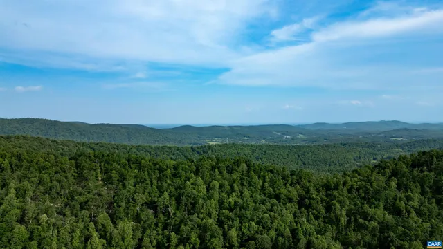 an aerial view of houses covered in trees