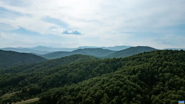a view of a lush green forest with mountains in the background