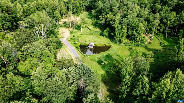 a view of a lush green yard with large trees