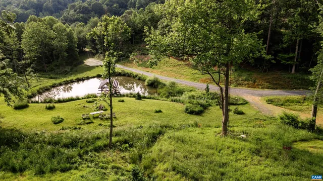 a view of a yard with plants and large trees