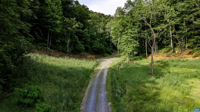 a big yard with lots of green space and plants