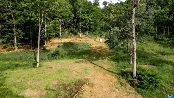 a view of a yard with a tree