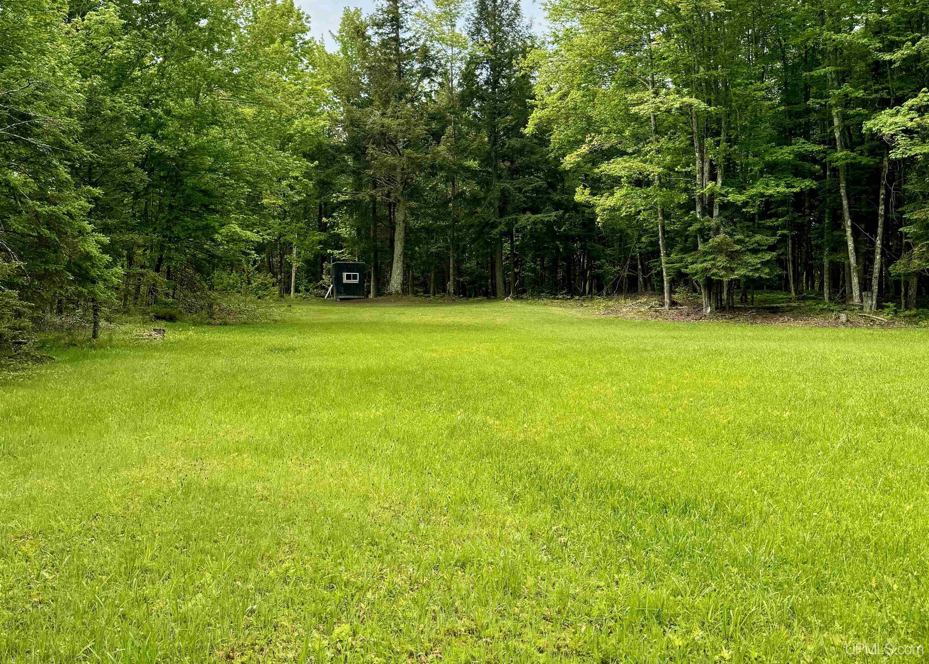 426 Rd Arnold Mi 49819 Road Felch, MI 49831 - Photo 18 of 45
