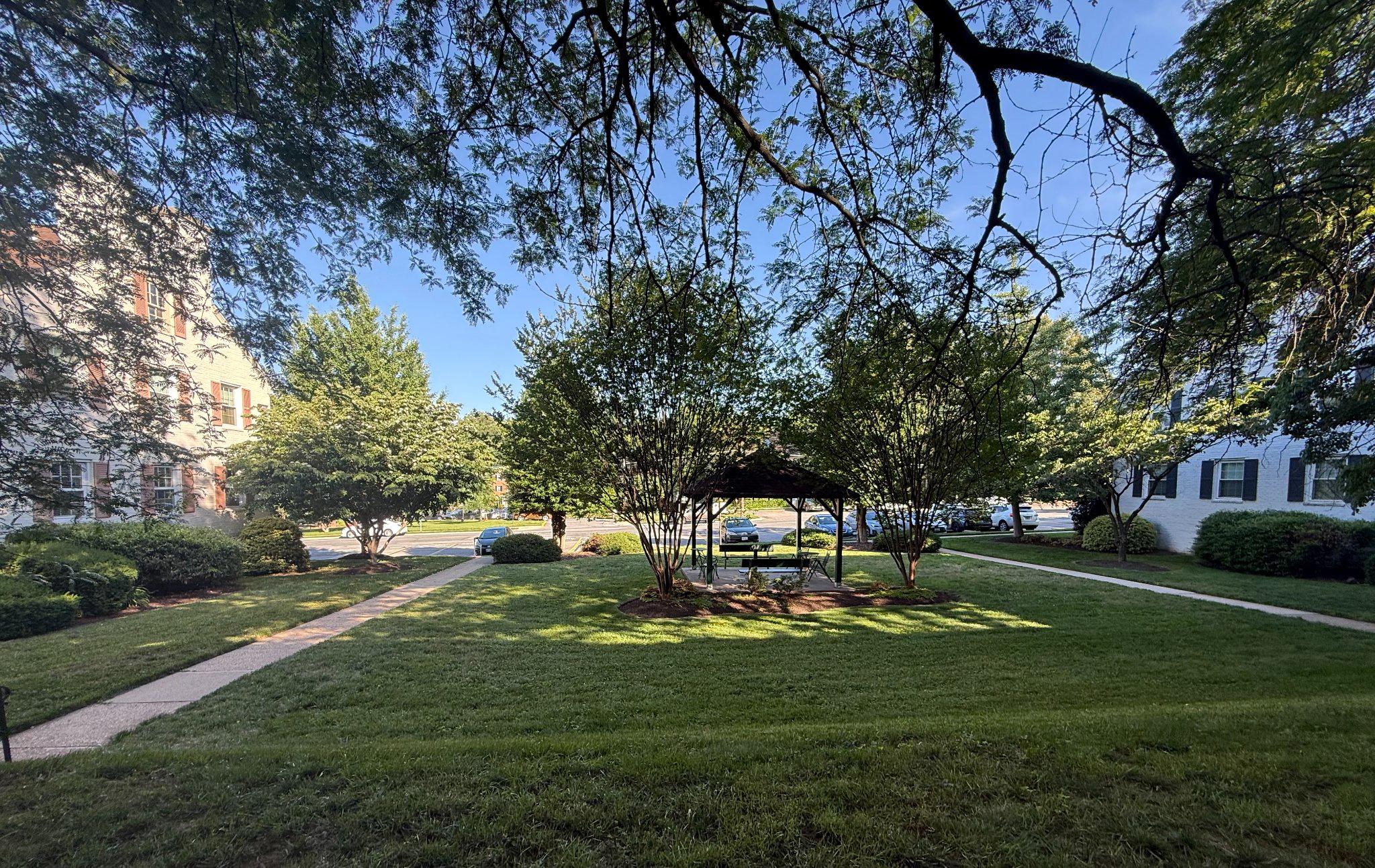 2202 Colston Drive, Unit 102 Silver Spring, MD 20910 - Photo 28 of 38 a view of a park with large trees