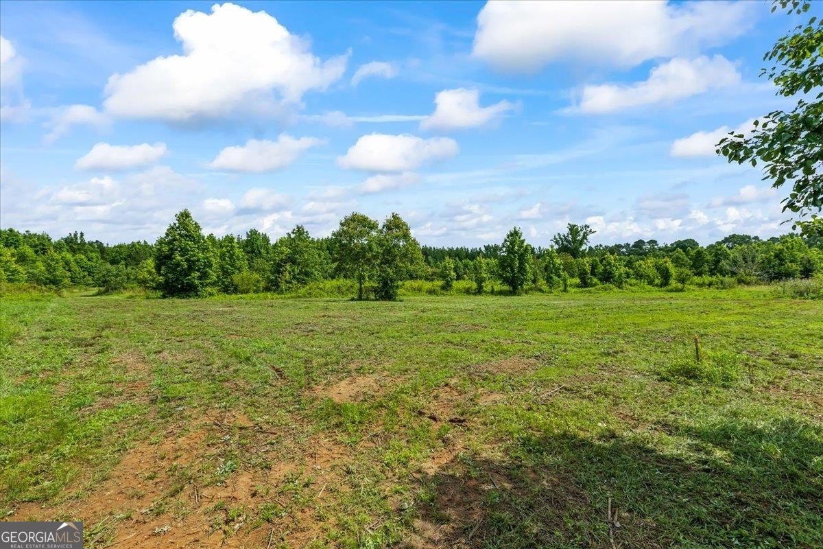 0 Gage Lane Madison, GA 30650 - Photo 1 of 30 a view of a green field with wooden fence