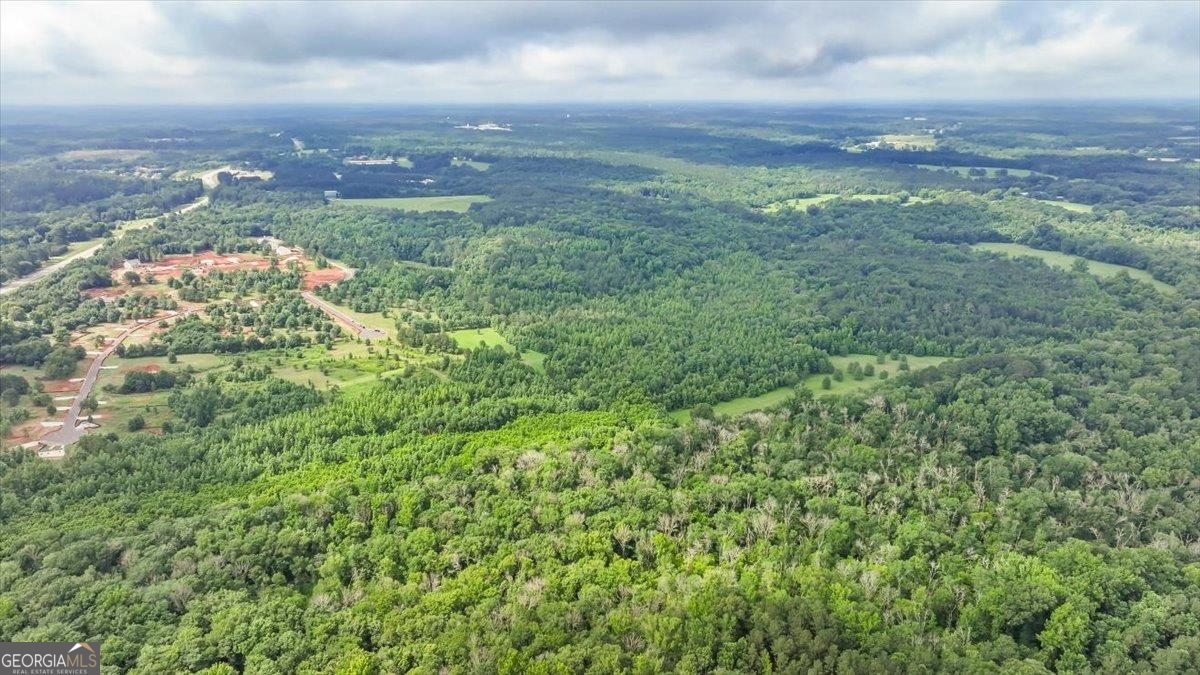 0 Gage Lane Madison, GA 30650 - Photo 21 of 30 a view of a city with lush green forest