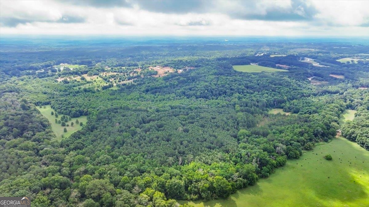 0 Gage Lane Madison, GA 30650 - Photo 25 of 30 an aerial view of houses covered in trees