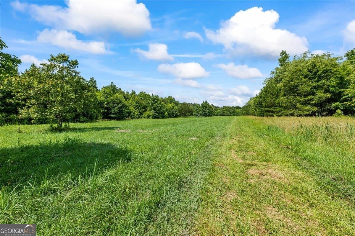 0 Gage Lane Madison, GA 30650 - Photo 5 of 30 a view of a green field with wooden fence