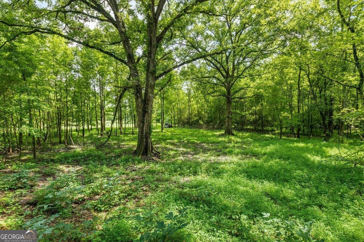 0 Gage Lane Madison, GA 30650 - Photo 10 of 30 a big yard with lots of green space and deers