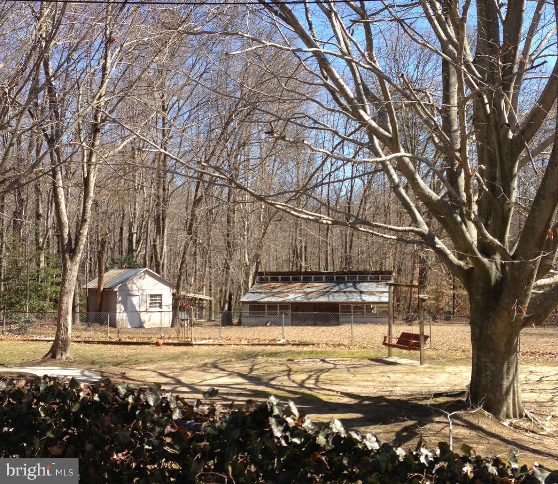 8445 Pine Tree Lane King George, VA 22485 - Photo 2 of 5 a view of a yard with some trees