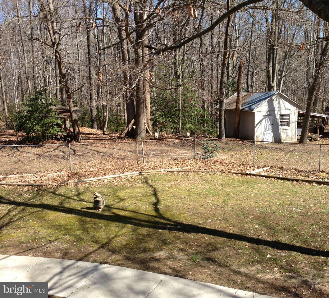 8445 Pine Tree Lane King George, VA 22485 - Photo 5 of 5 a view of a yard with large trees