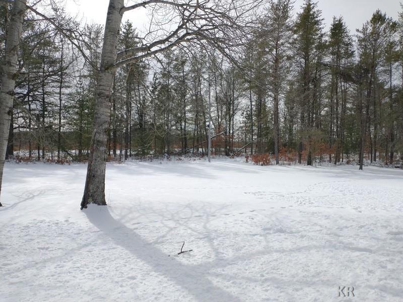 635 East Pierce Road Harrison, MI 48625 - Photo 48 of 49