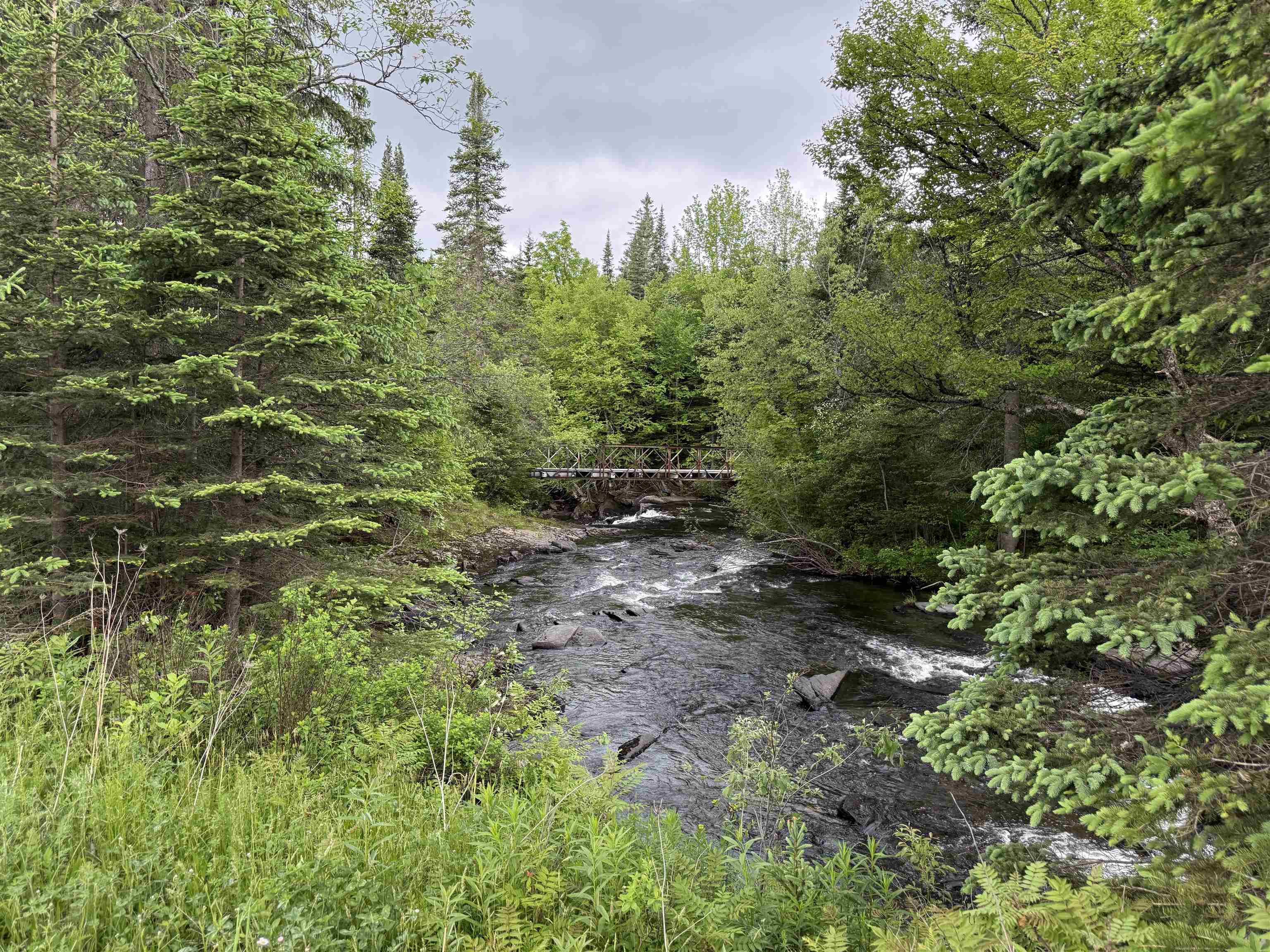 3550 Highway 15 Walden, VT 05873 - Photo 23 of 25